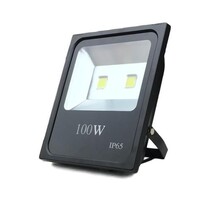 LED 100W Bouwlamp Buitenverlichting Tuinverlichting