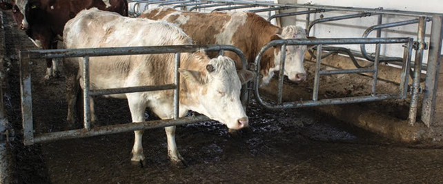 Double Enhanced telescopic Gate