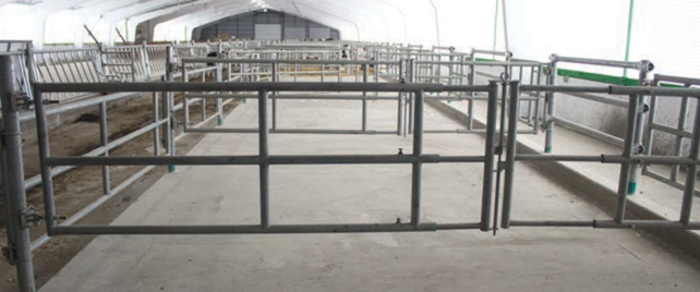 Double Telescopic Gate