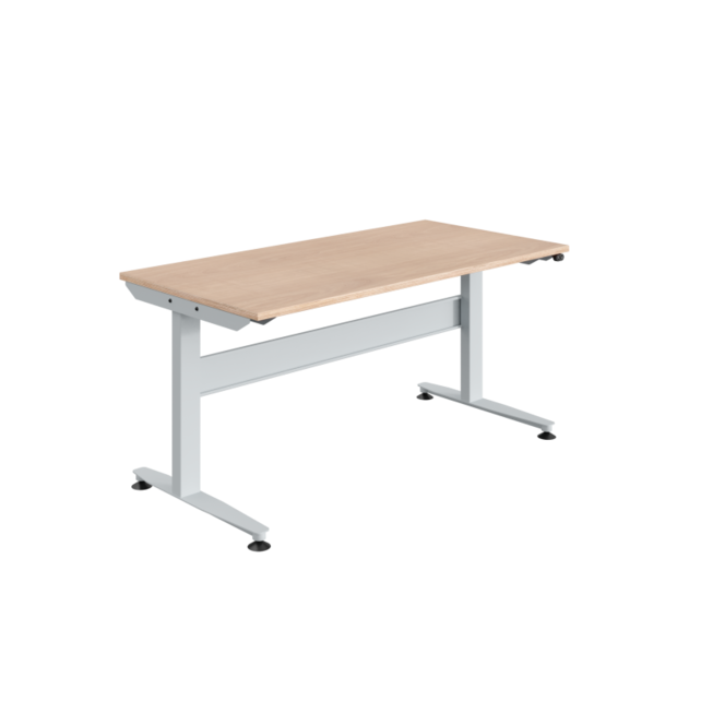 Table de travail Ergonomique Réglable électriquement modèle REGULOG 140 kg Gris clair