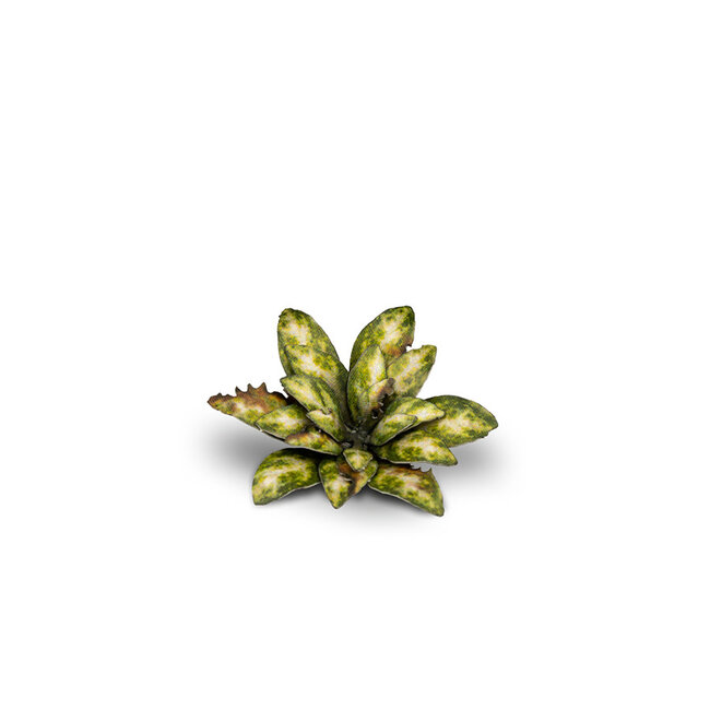 Gamers Grass GamersGrass: Laser Plants - Dumb Cane