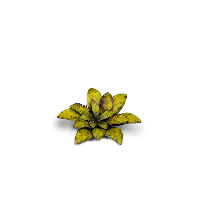 Gamers Grass GamersGrass: Laser Plants - Dumb Cane