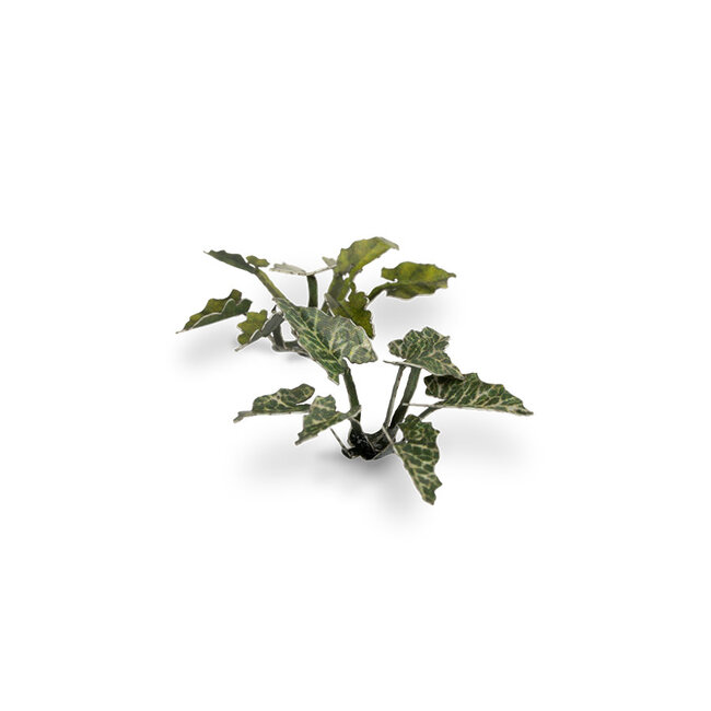 Gamers Grass GamersGrass: Laser Plants - Lords and Ladies