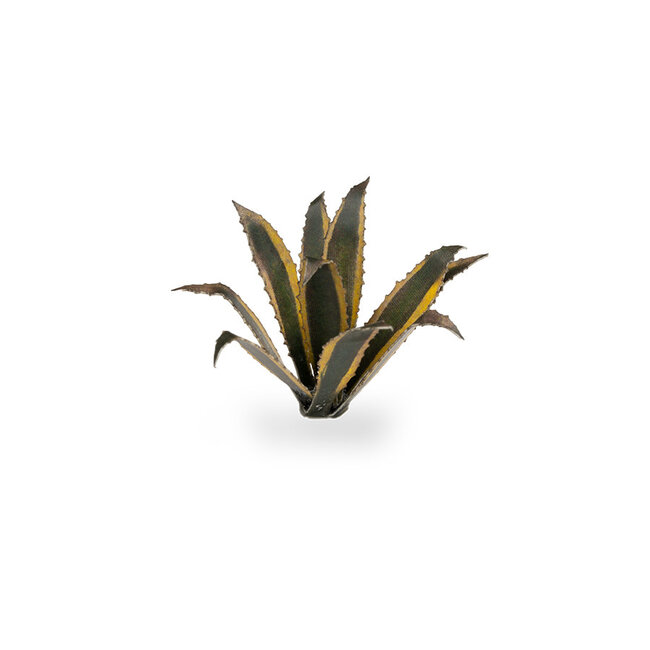 Gamers Grass GamersGrass: Laser Plants - Agave