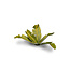 Gamers Grass GamersGrass: Laser Plants - Banana Tree