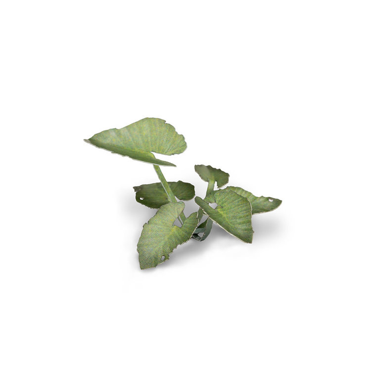 Gamers Grass GamersGrass: Laser Plants - Elephant Ear