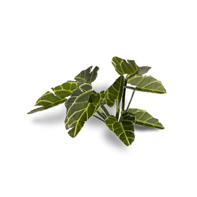 Gamers Grass GamersGrass: Laser Plants - Elephant Ear