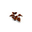 Gamers Grass GamersGrass: Laser Plants - Alien Flytrap