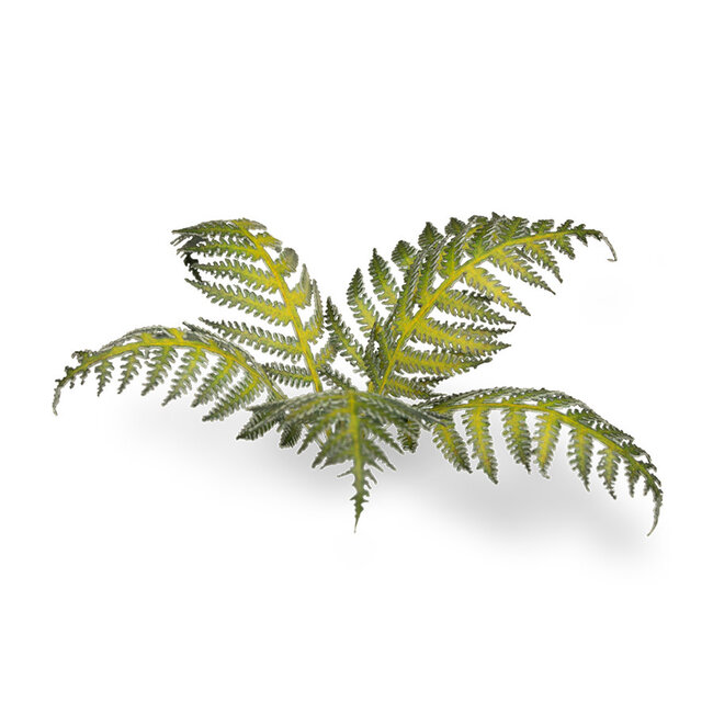 Gamers Grass GamersGrass: Laser Plants - Bracken