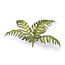 Gamers Grass GamersGrass: Laser Plants - Bracken