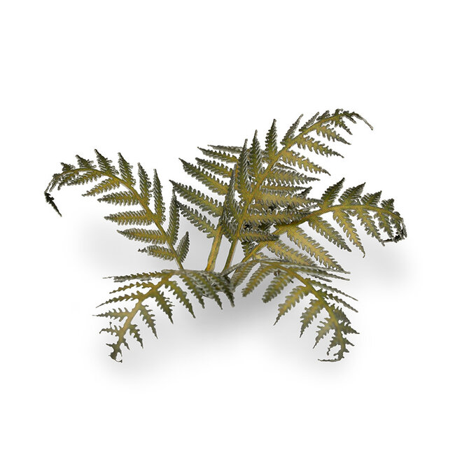 Gamers Grass GamersGrass: Laser Plants - Bracken