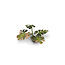 Gamers Grass GamersGrass: Laser Plants - Monstera