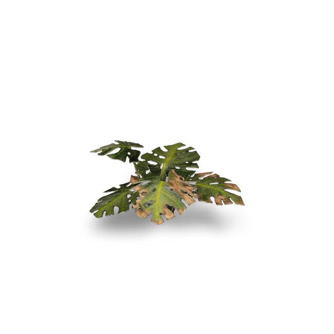 Gamers Grass GamersGrass: Laser Plants - Monstera