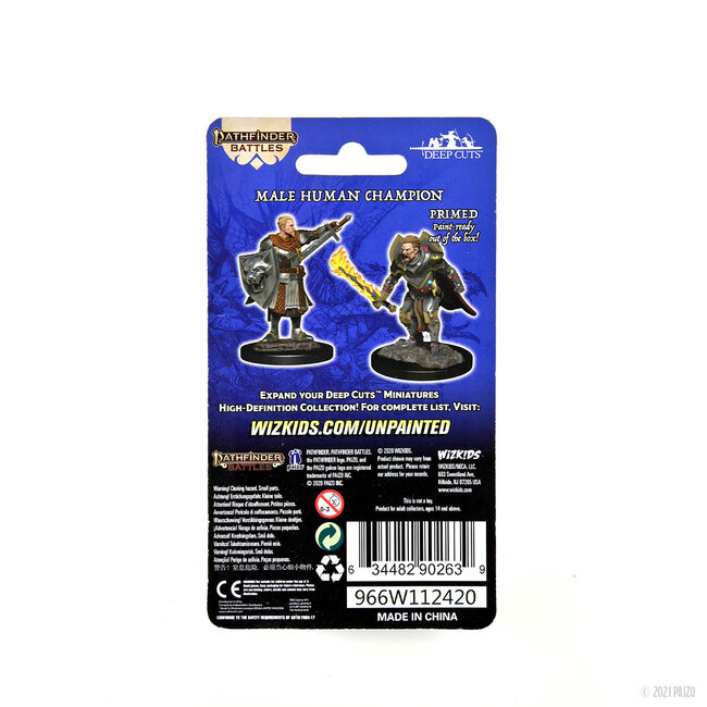 Wizkids Wizkids - Pathfinder Battles: Male Human Champion