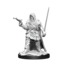 Wizkids Wizkids - Pathfinder Battles: Male Human Rogue