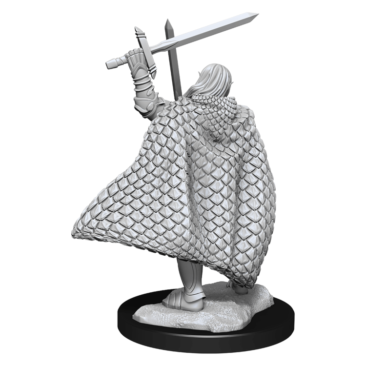 Wizkids Wizkids - Pathfinder Battles: Male Elf Fighter