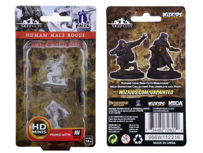 Wizkids Male Human Rogue