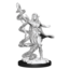 Wizkids Wizkids - Magic Miniatures: Joraga Warcaller & Joraga Treespeaker
