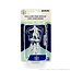Wizkids Wizkids - Critical Role: Hollow one Rogue and Sorcerer