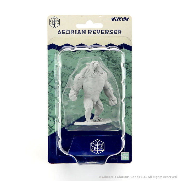 Wizkids Wizkids - Critical Role: Aeorian Reverser