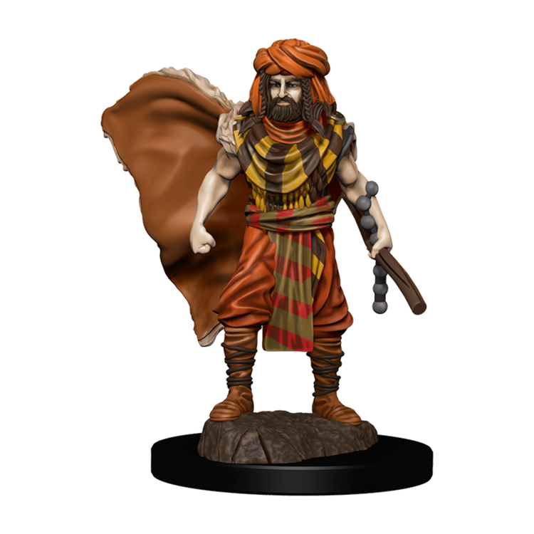 Wizkids Wizkids - Icons of the Realms: Human Druid