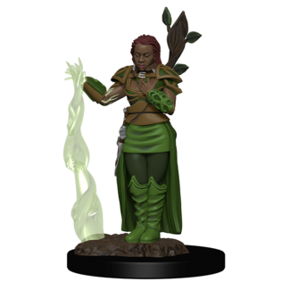 Wizkids Human Druid