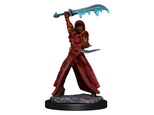 Wizkids Human Rogue