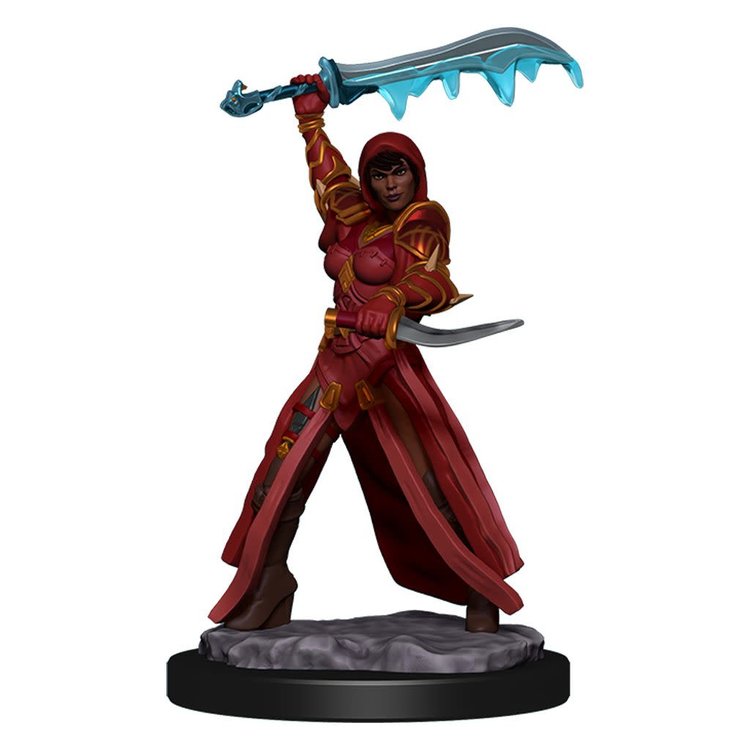 Wizkids Wizkids - Icons of the Realms: Human Rogue