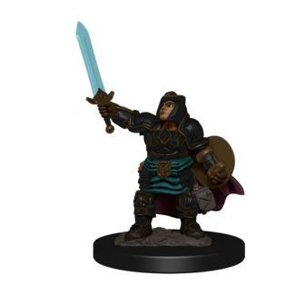 Wizkids Dwarf Paladin