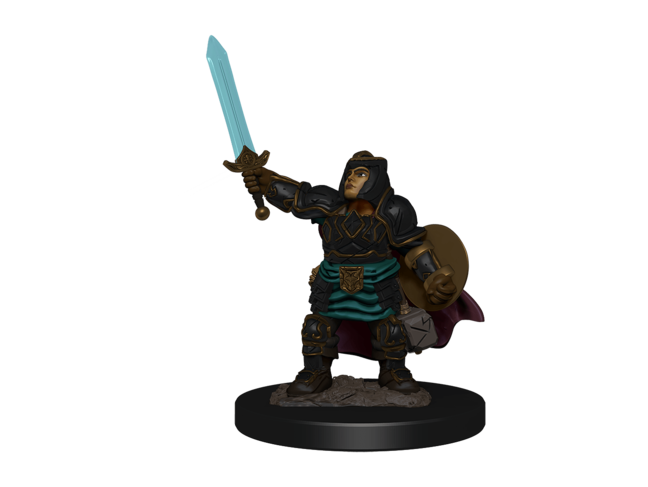 Wizkids Dwarf Paladin