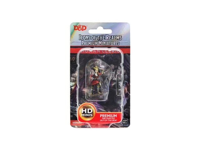 Wizkids Human Cleric