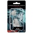Wizkids Wizkids - Nolzur's Marvelous Miniatures: Gold Dragon Wyrmling & Small Treasure Pile