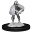 Wizkids Wizkids - Nolzur's Marvelous Miniatures: Darkling Elder & Darklings
