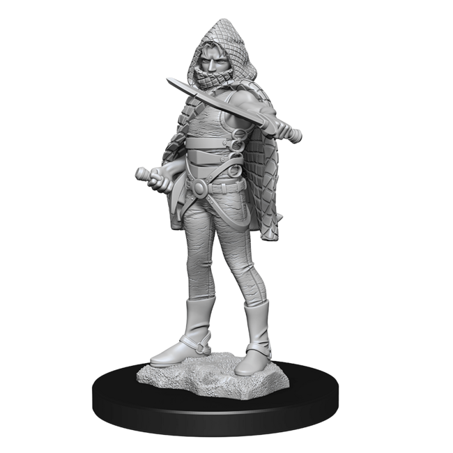 Wizkids Wizkids - Nolzur's Marvelous Miniatures: Darkling Elder & Darklings