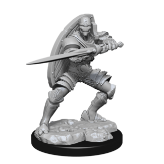 Wizkids Warforged Fighter