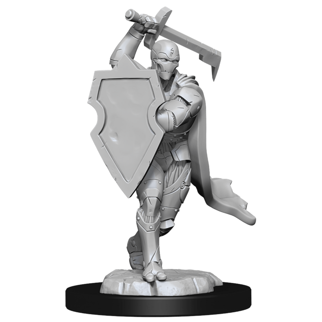 Wizkids Wizkids - Nolzur's Marvelous Miniatures: Warforged Fighter