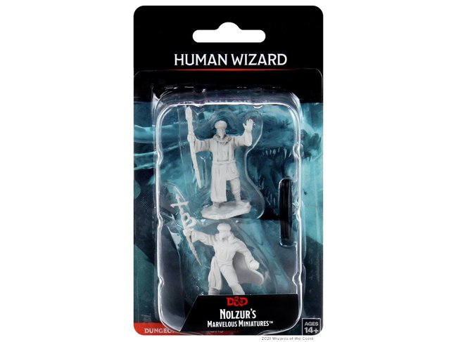 Wizkids Human Wizard