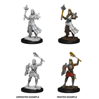 Wizkids Human Cleric