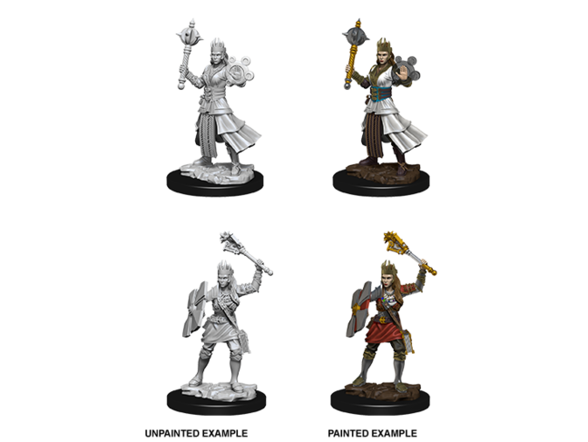 Wizkids Human Cleric