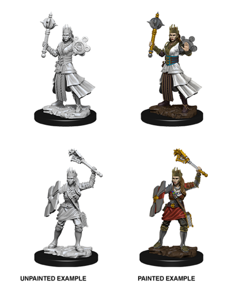 Wizkids Wizkids - Nolzur's Marvelous Miniatures: Human Cleric