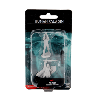 Wizkids Human Paladin