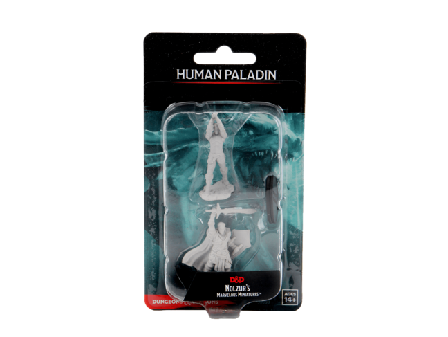 Wizkids Human Paladin