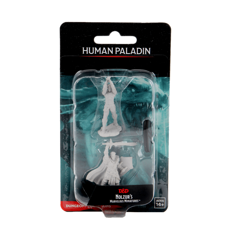 Wizkids Wizkids - Nolzur's Marvelous Miniatures: Human Paladin