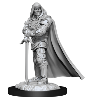 Wizkids Human Paladin