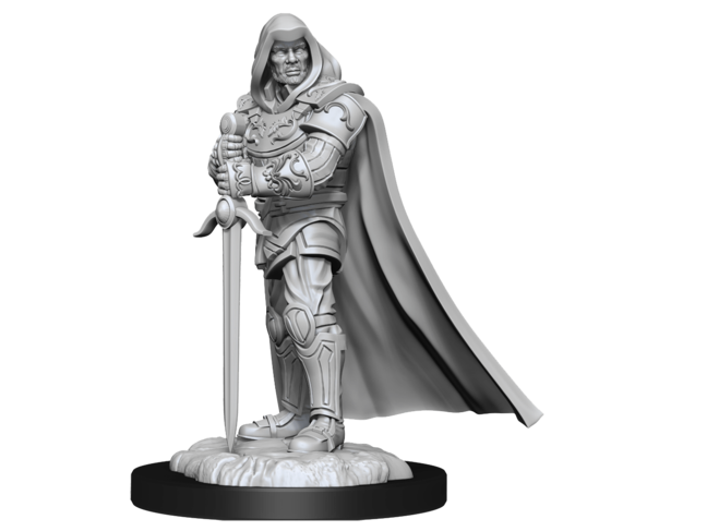 Wizkids Human Paladin