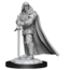 Wizkids Wizkids - Nolzur's Marvelous Miniatures: Human Paladin