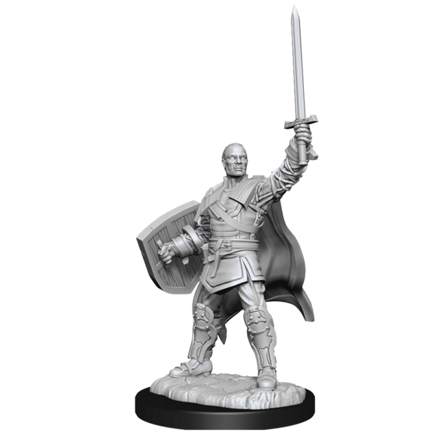 Wizkids Wizkids - Nolzur's Marvelous Miniatures: Human Paladin