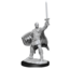 Wizkids Wizkids - Nolzur's Marvelous Miniatures: Human Paladin