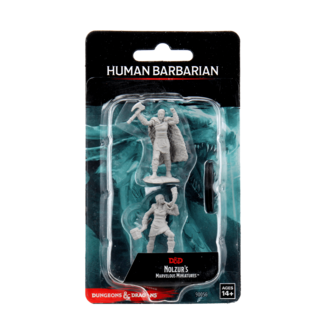 Wizkids Human Barbarian