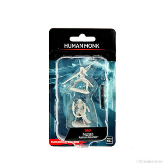 Wizkids Human Monk